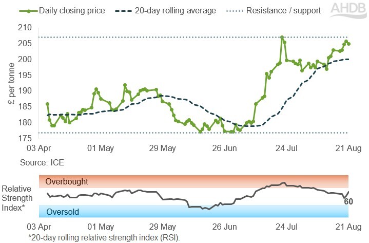 Blob Market Forecast