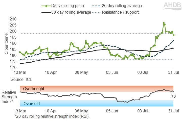 Blob Market Forecast