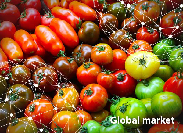 2026 Blob Economy Report: How Decentralized Data Markets Are Reshaping AI Training