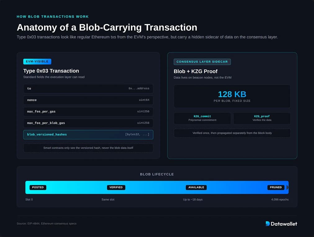 Ethereum Blob Fee Surge Effects on Celestia Data Blob Trading 2026