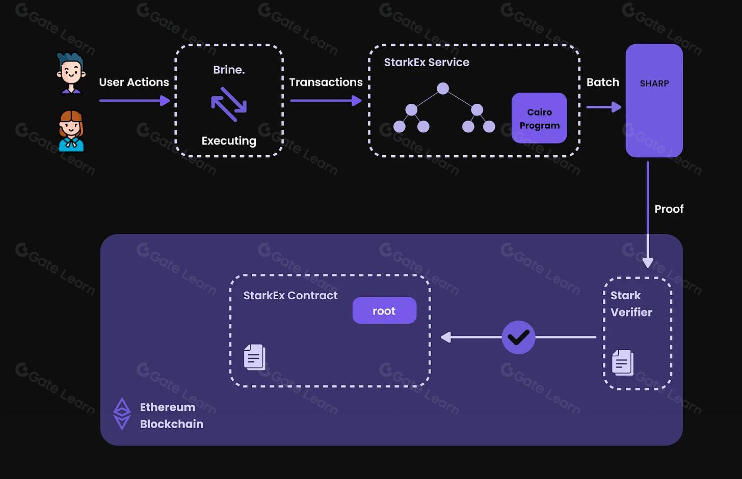 privacy preserving DEX Celestia ZK proofs